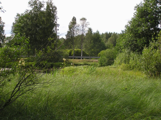 26534 (a): :1024x768
